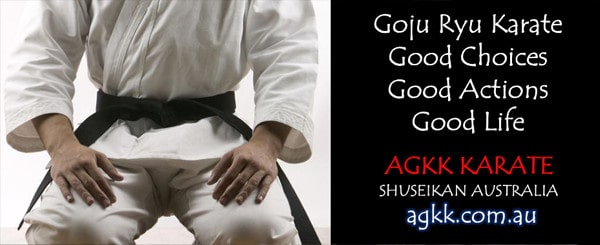 Goju Ryu Karate