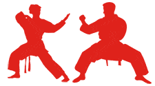 Adult Only Karate Classes