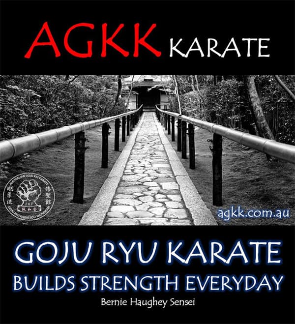 Build Strength Everyday - AGKK Brisbane Karate Academy