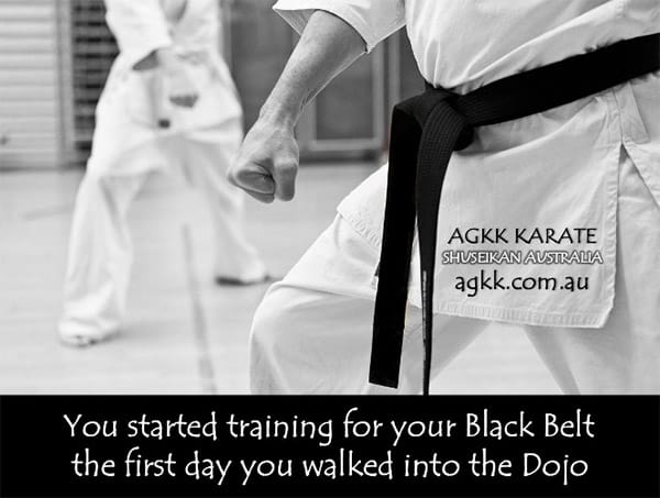 Training for your black belt